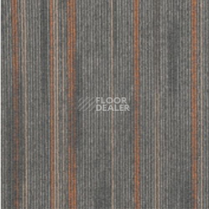 Ковровая плитка Balance Variation Balance Variation 02 фото 1 | FLOORDEALER